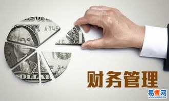 東西湖進(jìn)出口代理業(yè)務(wù)解析與優(yōu)勢(shì)探索
